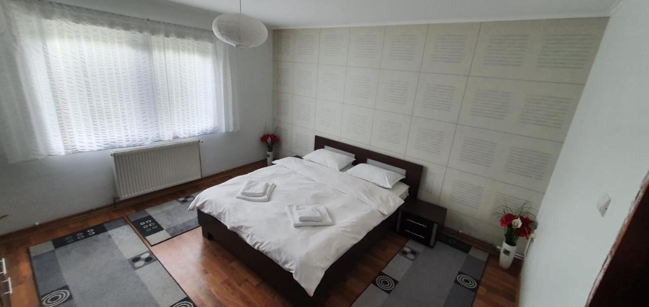 Apartament Casa Alex Si Daiana Orszowa Zewnętrze zdjęcie