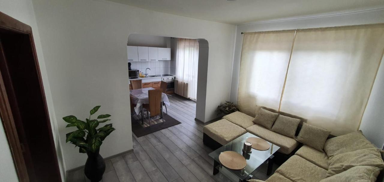 Apartament Casa Alex Si Daiana Orszowa Zewnętrze zdjęcie