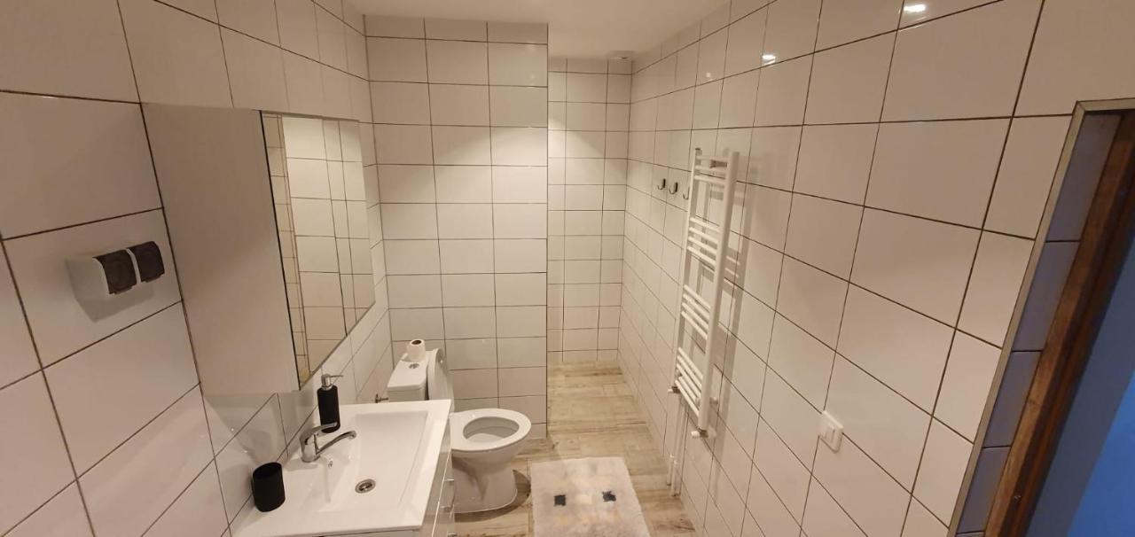 Apartament Casa Alex Si Daiana Orszowa Zewnętrze zdjęcie